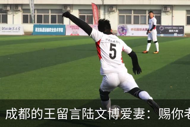 成都的王留言陆文博爱妻：赐你老公一败 结果四川惨败42分仅得49分